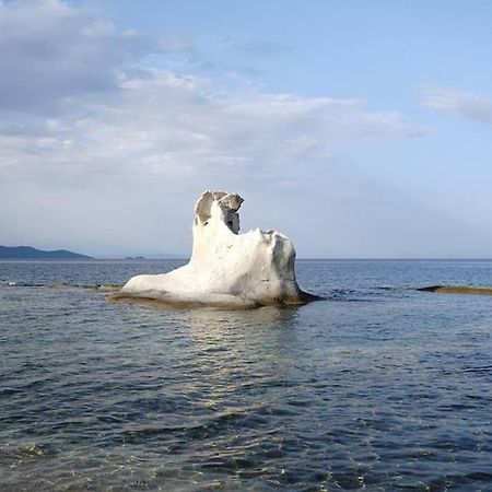 Agrampeli Villa Ierissos Eksteriør billede