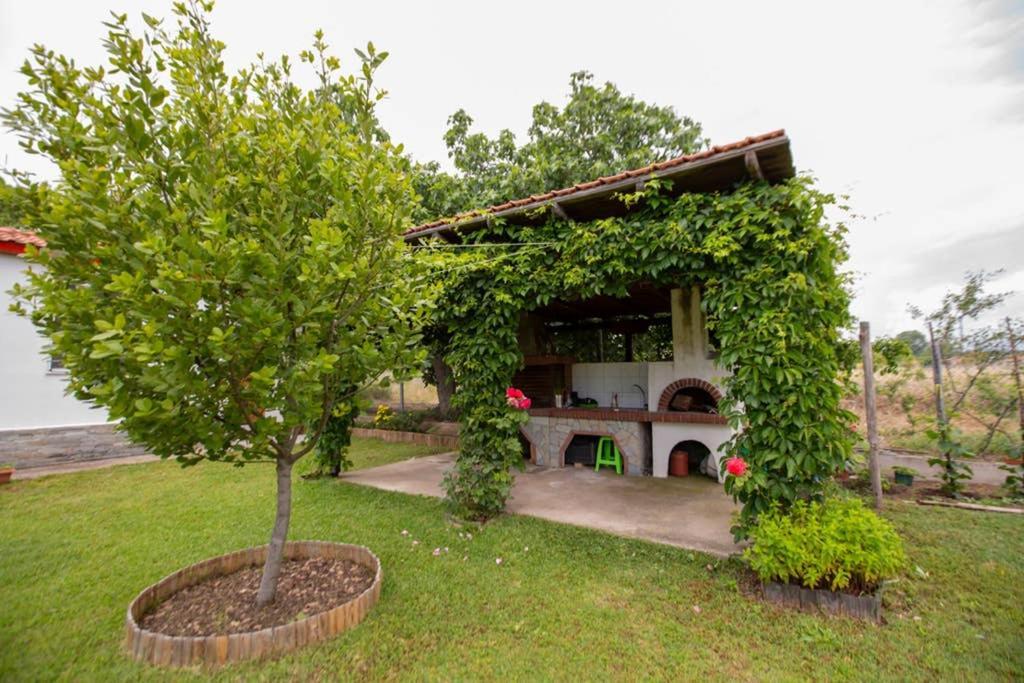 Agrampeli Villa Ierissos Eksteriør billede