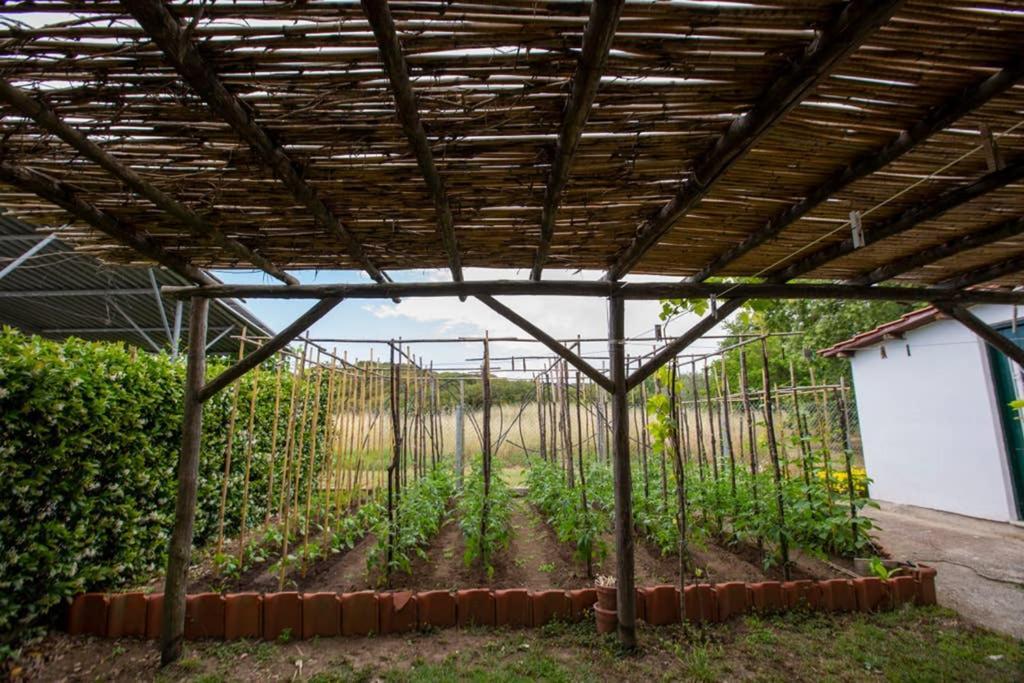 Agrampeli Villa Ierissos Eksteriør billede